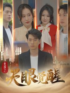 赘婿之天眼觉醒 全集(大结局)