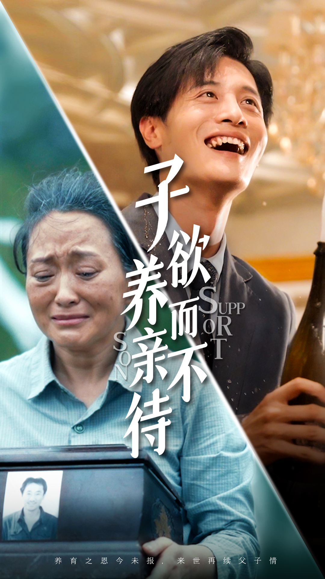 子欲养而亲不待 全集(大结局)