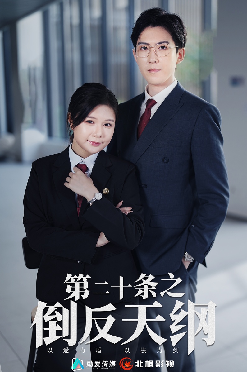 第二十条之倒反天纲 全集(大结局)