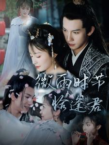 微雨时节恰逢君 全集(大结局)