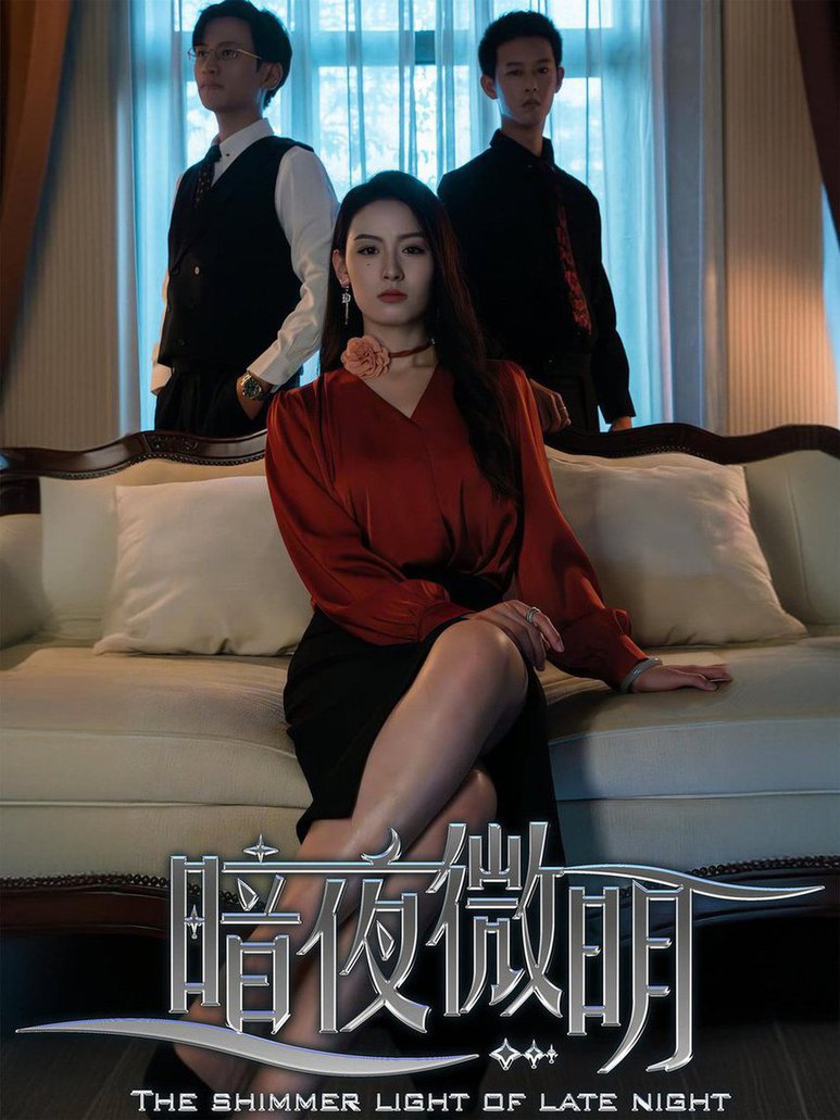 暗夜微明 全集(大结局)