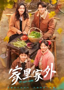 家里家外 全集(大结局)