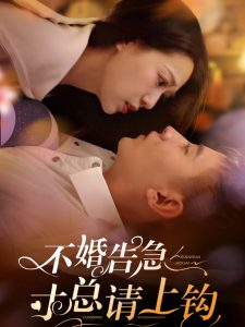 不婚告急寸总请上钩 全集(大结局)