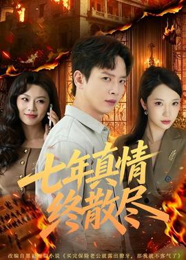 七年真情终散尽(全集)