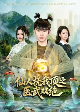 仙人抚我顶之医武双绝(全集)