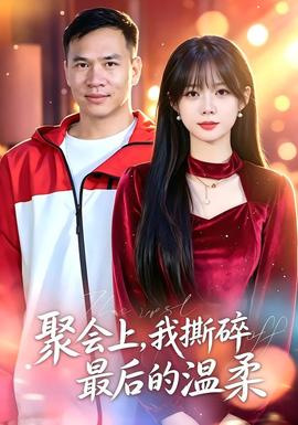 聚会上，我撕碎最后的温柔(全集)